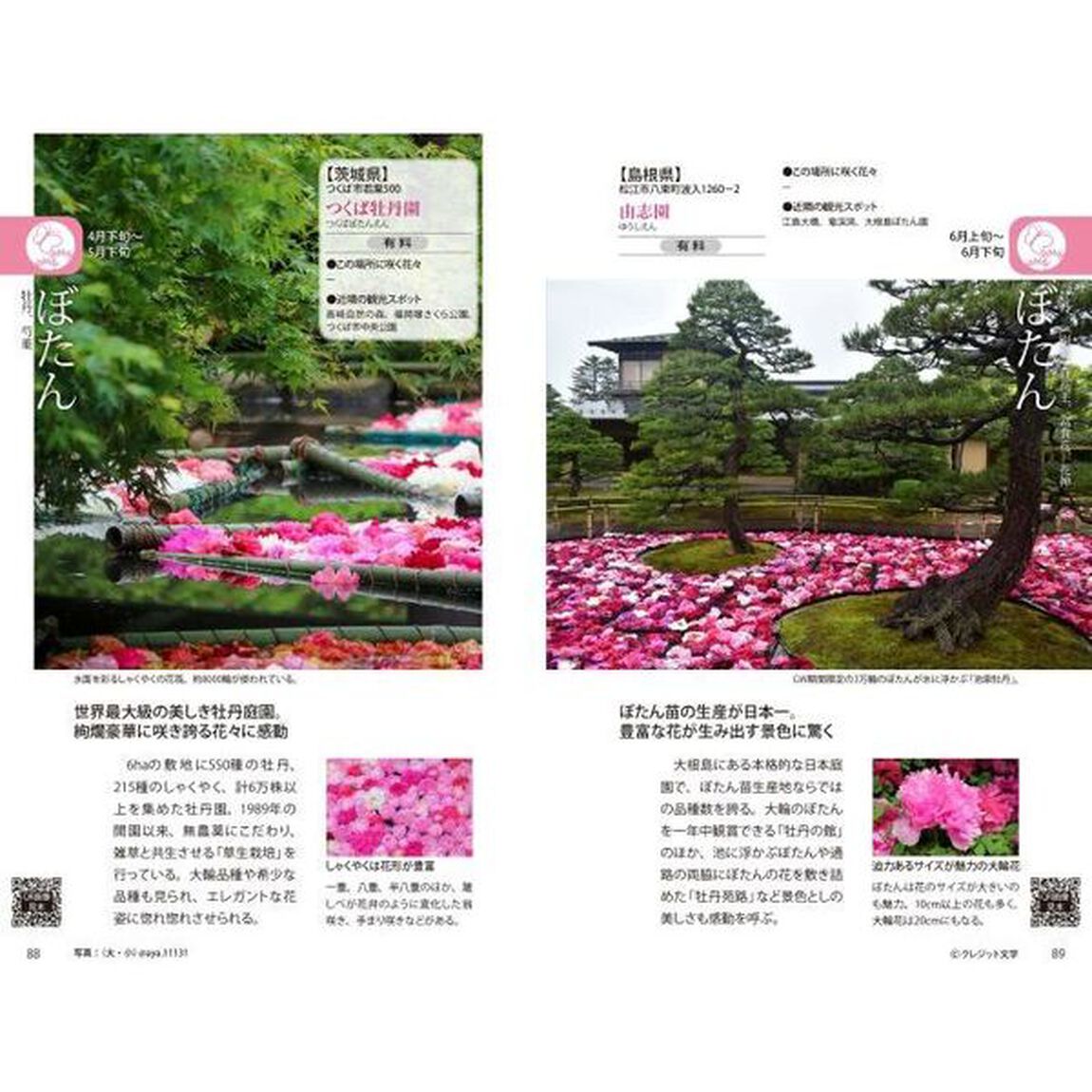 花めぐり図鑑　絶対行きたい全国の花風景