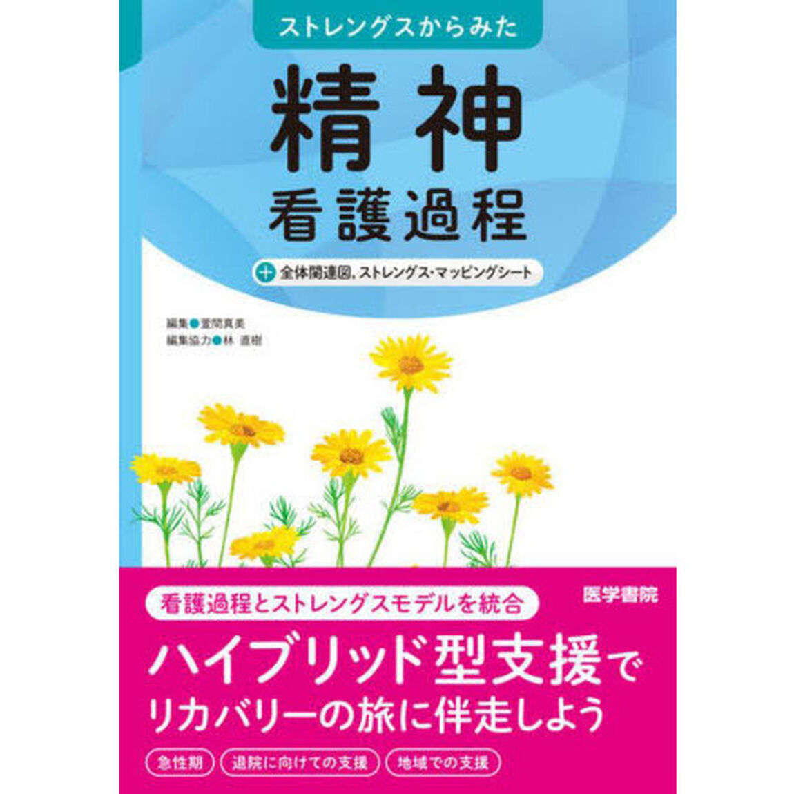ストレングスからみた精神看護過程＋全体関連図，ストレングス・マッピングシート