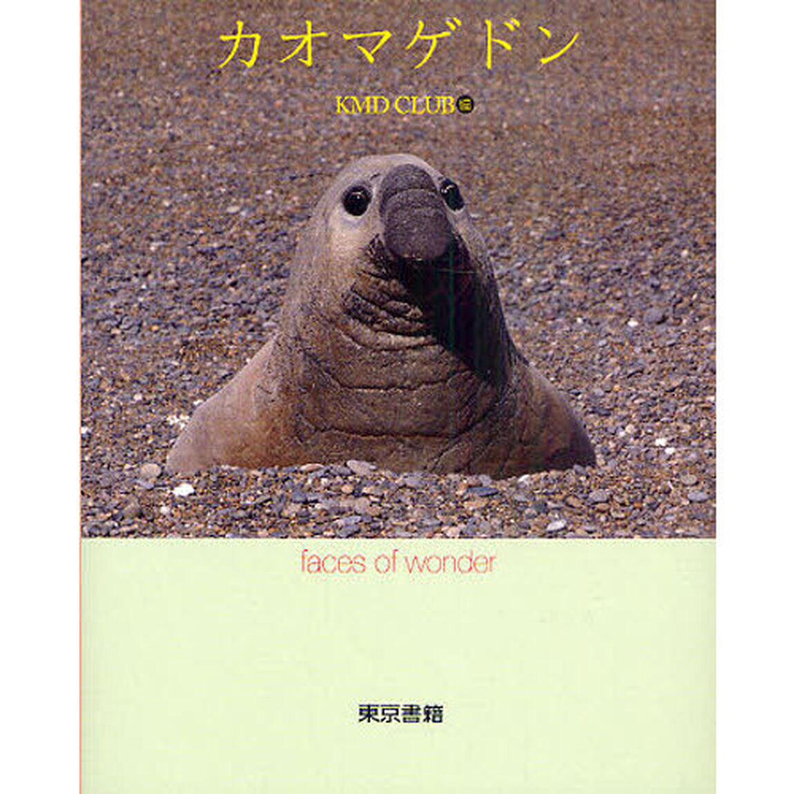 カオマゲドン　ｆａｃｅｓ　ｏｆ　ｗｏｎｄｅｒ