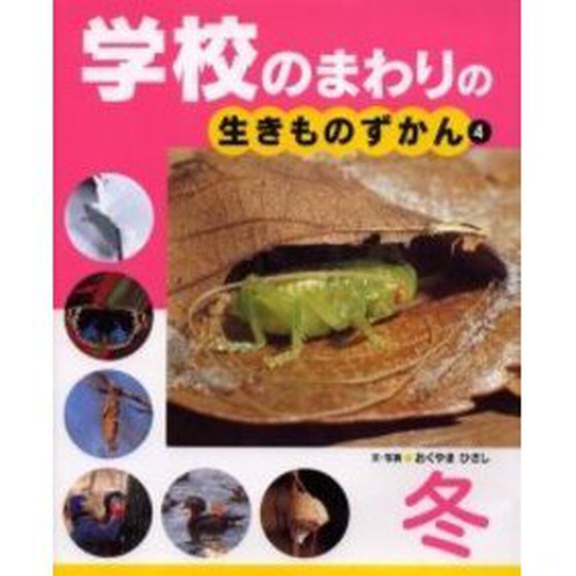 学校のまわりの生きものずかん　４「冬」