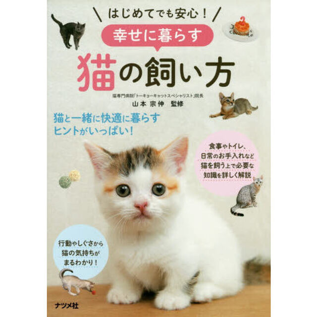はじめてでも安心！幸せに暮らす猫の飼い方