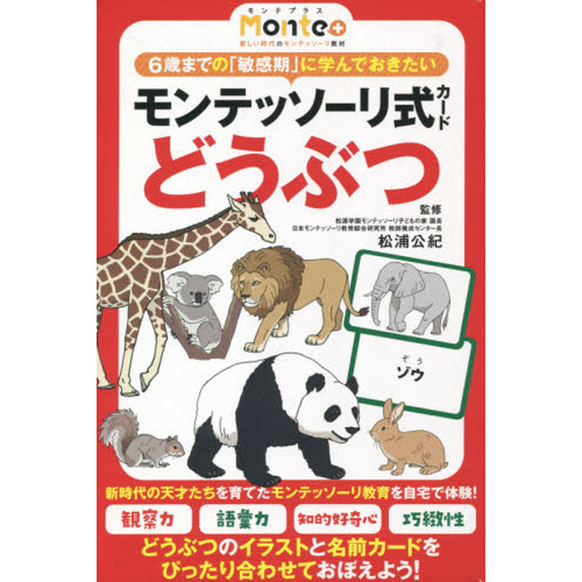 モンテッソーリ式カード　どうぶつ