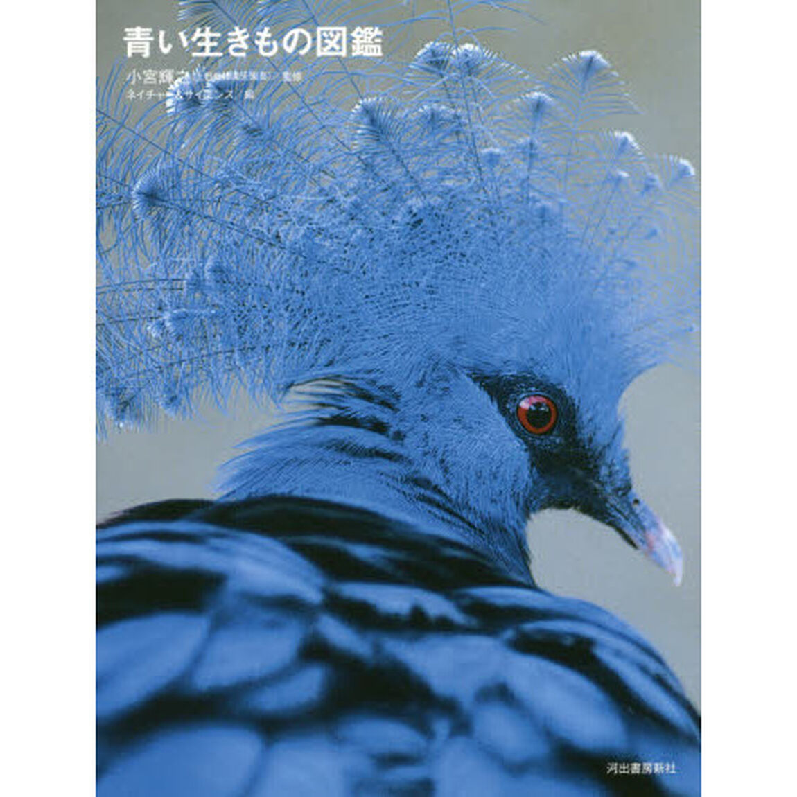 青い生きもの図鑑
