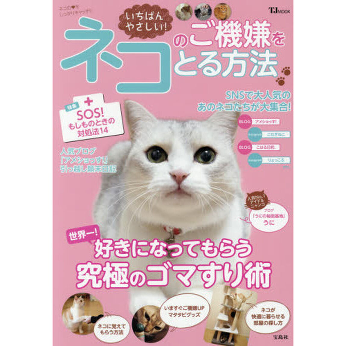 いちばんやさしい！ネコのご機嫌をとる方法　ネコの【ハート】をしっかりキャッチ！！