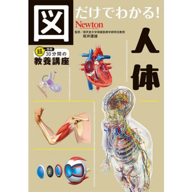 図だけでわかる！人体