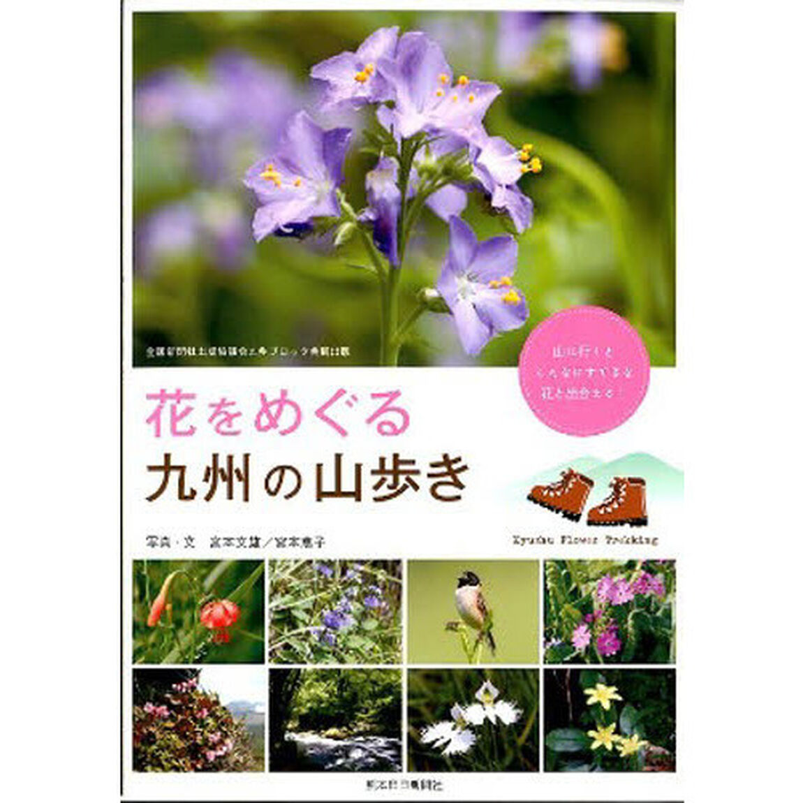 花をめぐる九州の山歩き―山に行くとこんなにすてきな花と出合える!