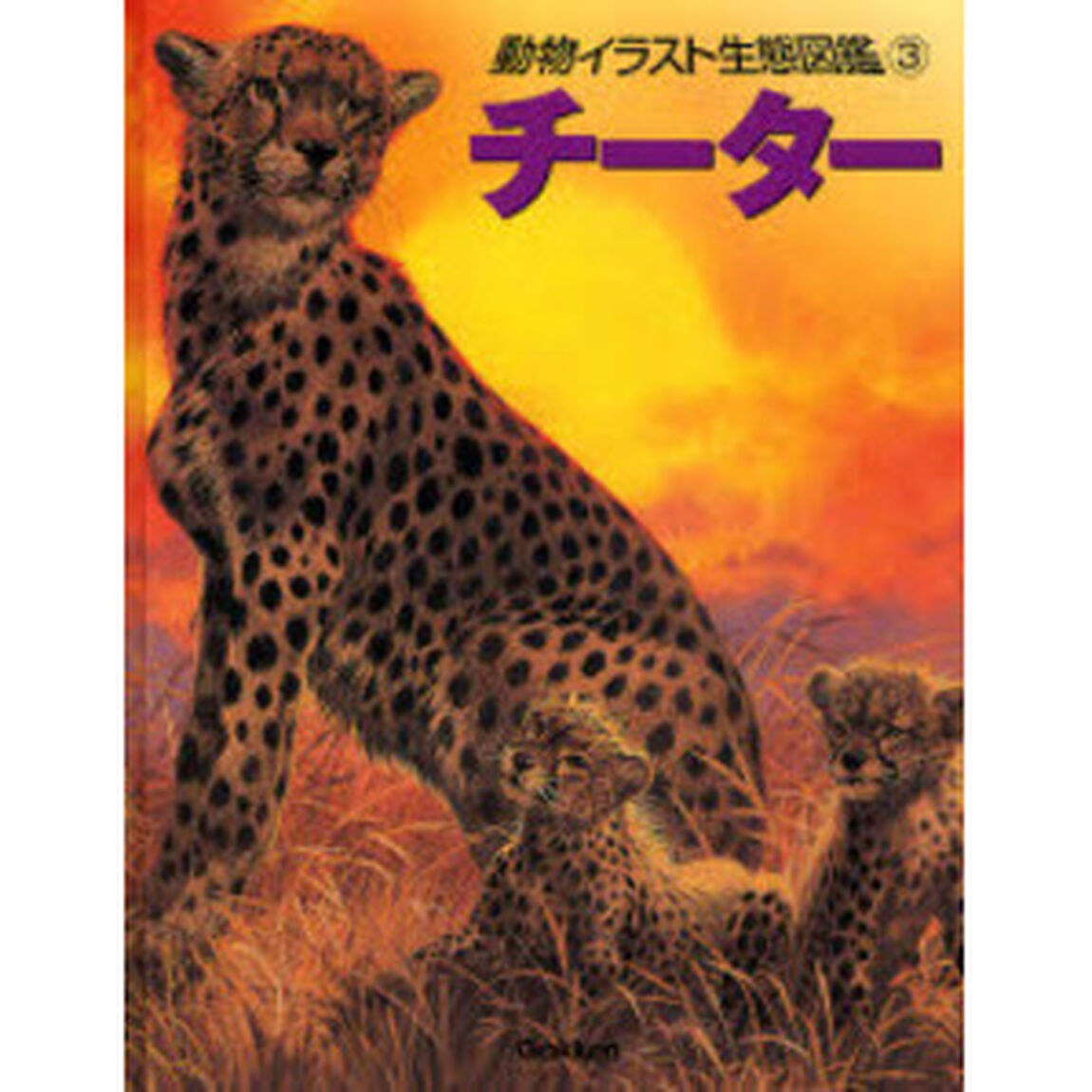 動物イラスト生態図鑑　３「チーター」