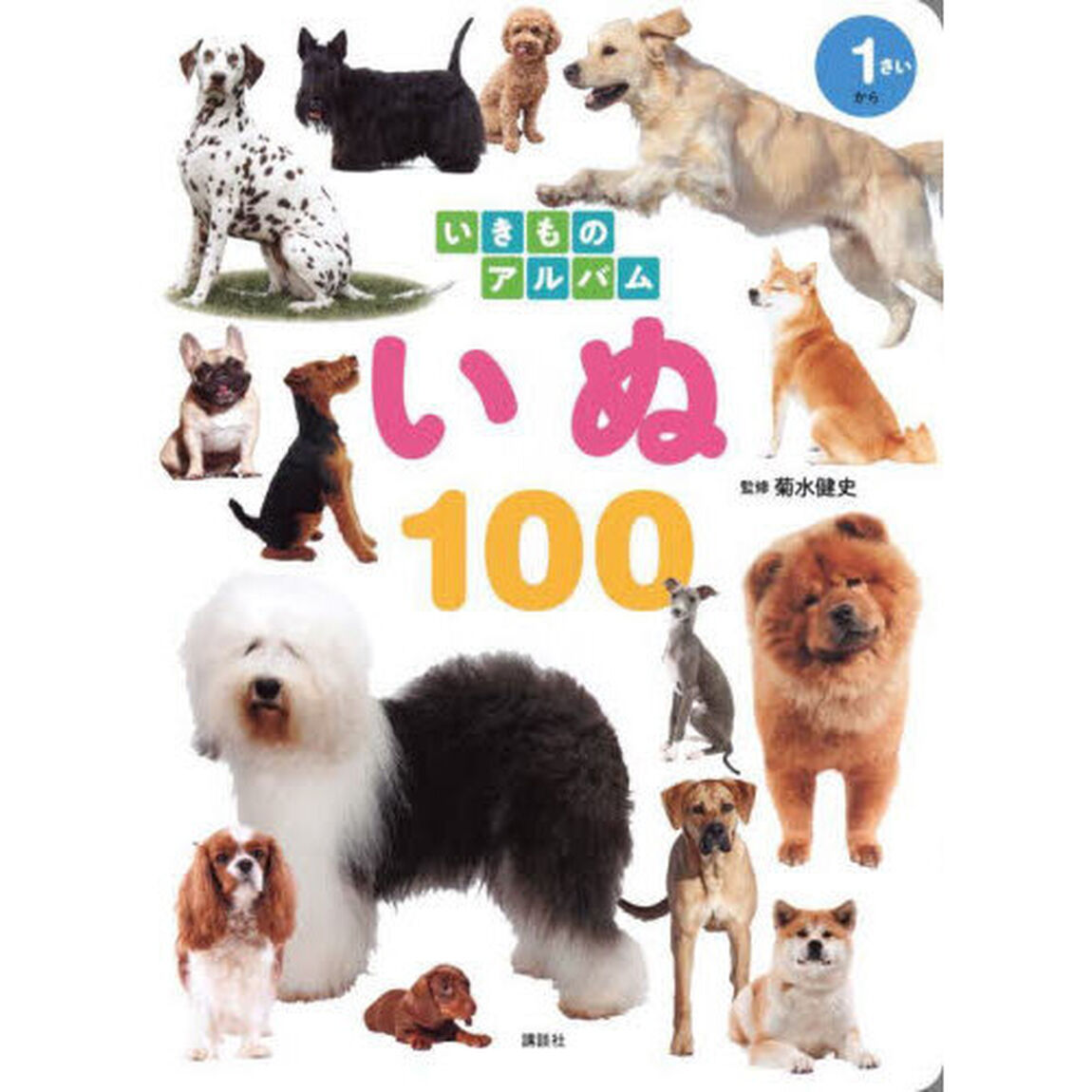 いぬ１００