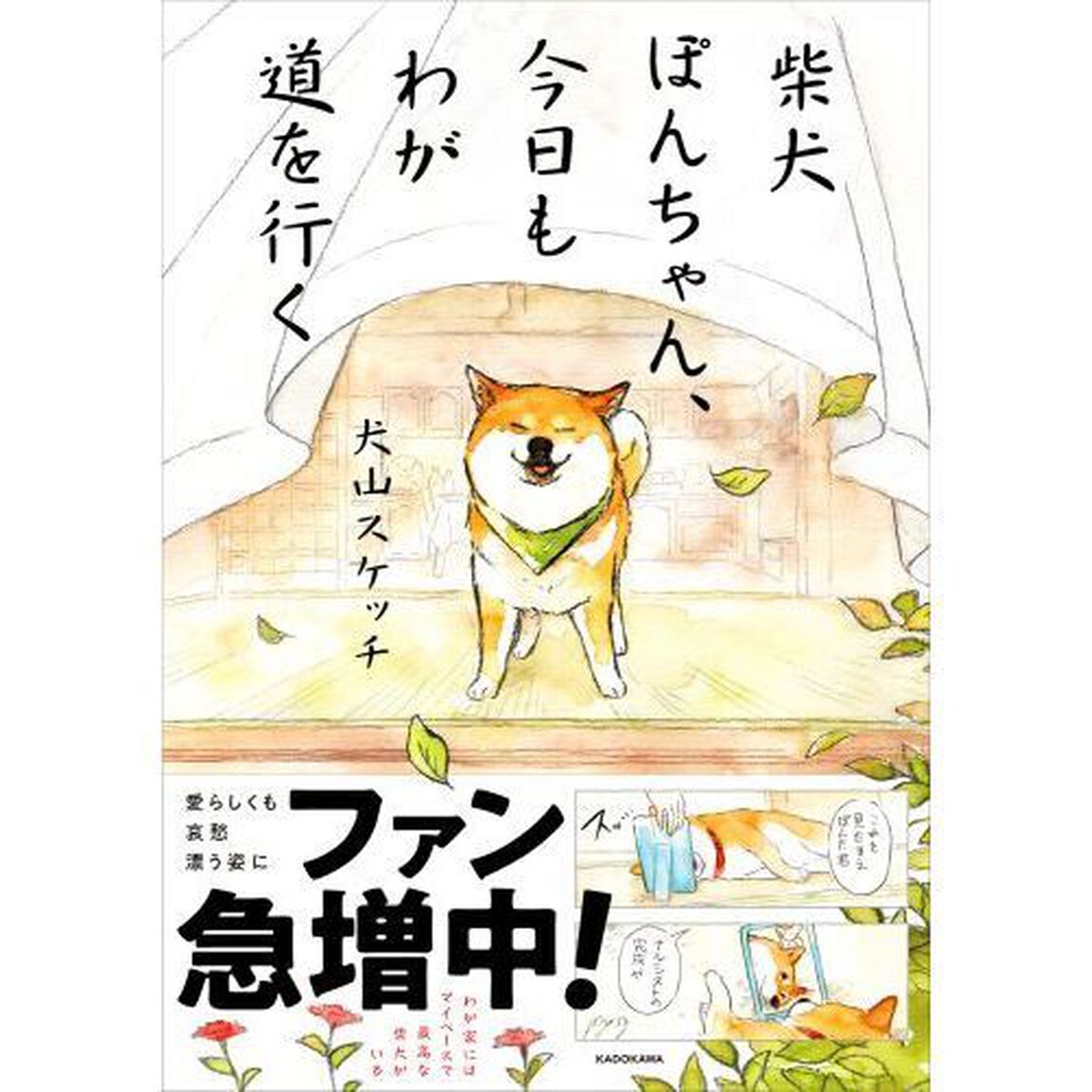 柴犬ぽんちゃん、今日もわが道を行く