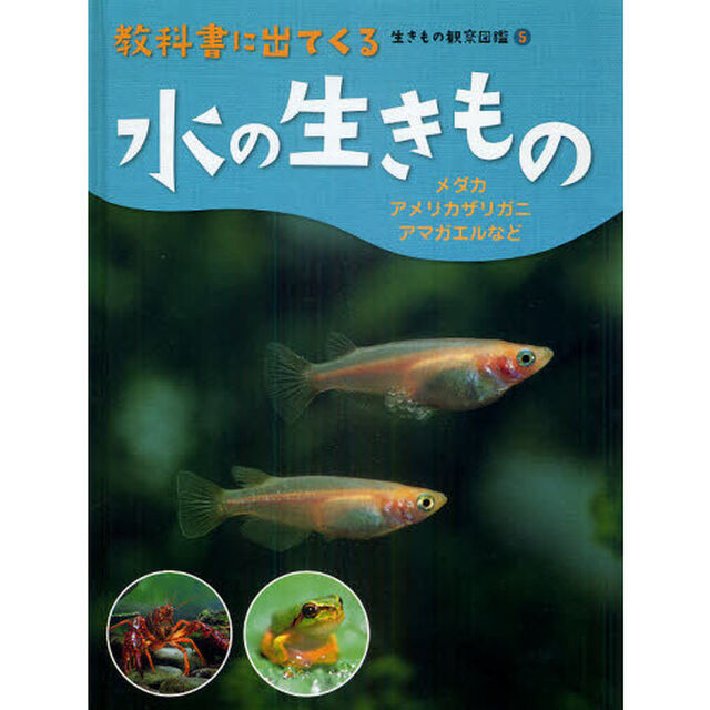 教科書に出てくる生きもの観察図鑑　５「水の生きもの　メダカ・アメリカザリガニ・アマガエルなど」