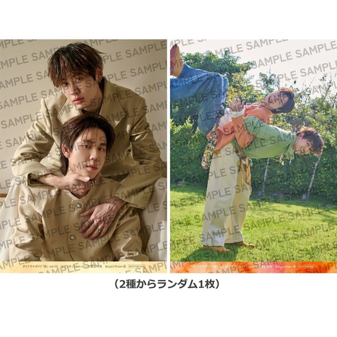 タイドラマガイド「D」 vol.10【セブンネット限定特典：Boun&Prem 2L判ブロマイド 1枚付き（2種からランダム1枚）】