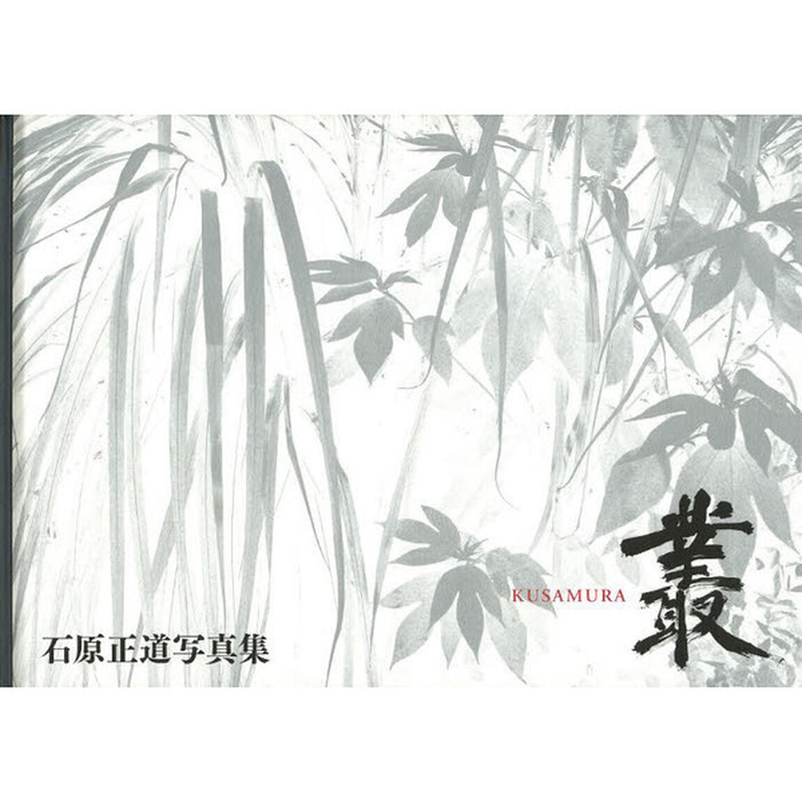 叢(KUSAMURA)―石原正道写真集