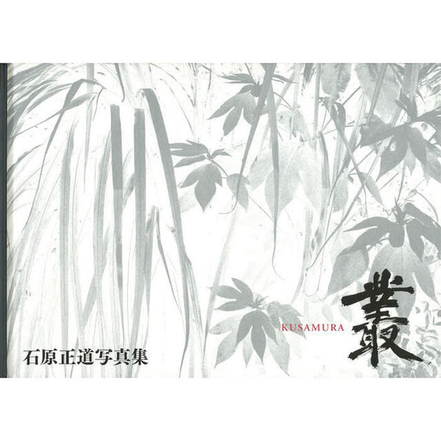 叢(KUSAMURA)―石原正道写真集