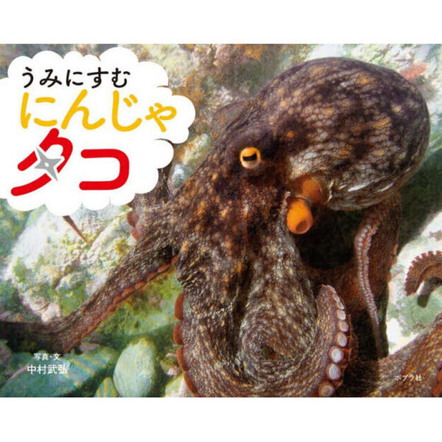 うみにすむにんじゃタコ