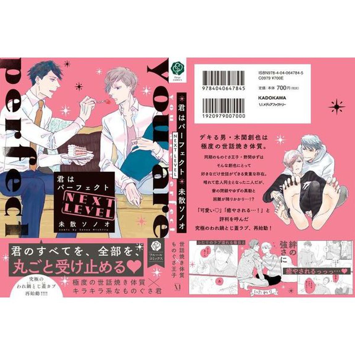 君はパーフェクトＮＥＸＴ　ＬＥＶＥＬ