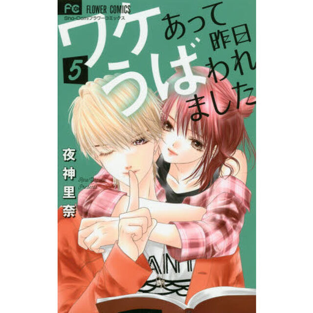 ワケあって昨日うばわれました　５