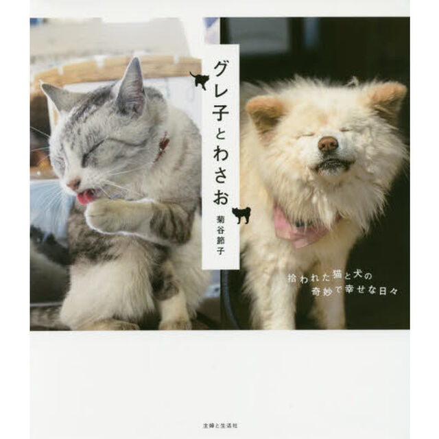 グレ子とわさお