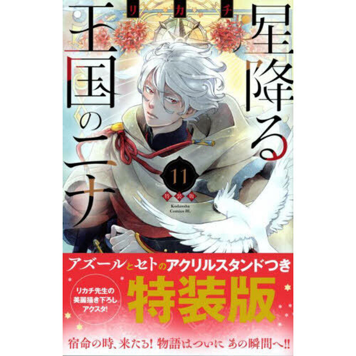 星降る王国のニナ 11 特装版