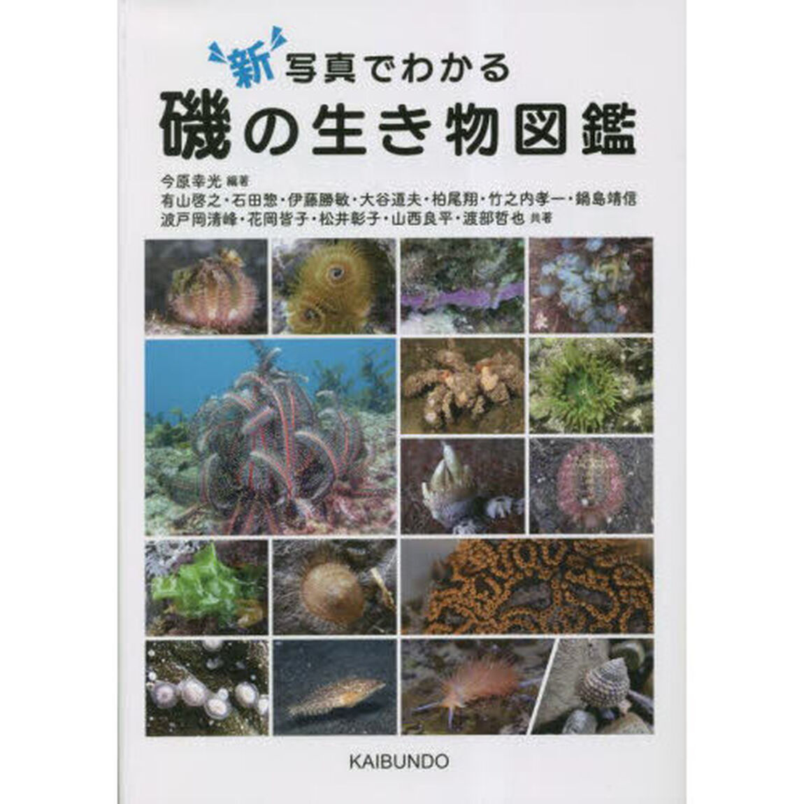 新写真でわかる磯の生き物図鑑