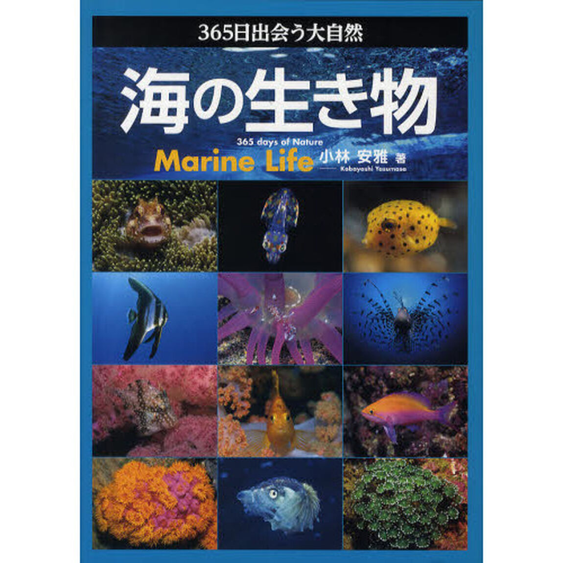 海の生き物