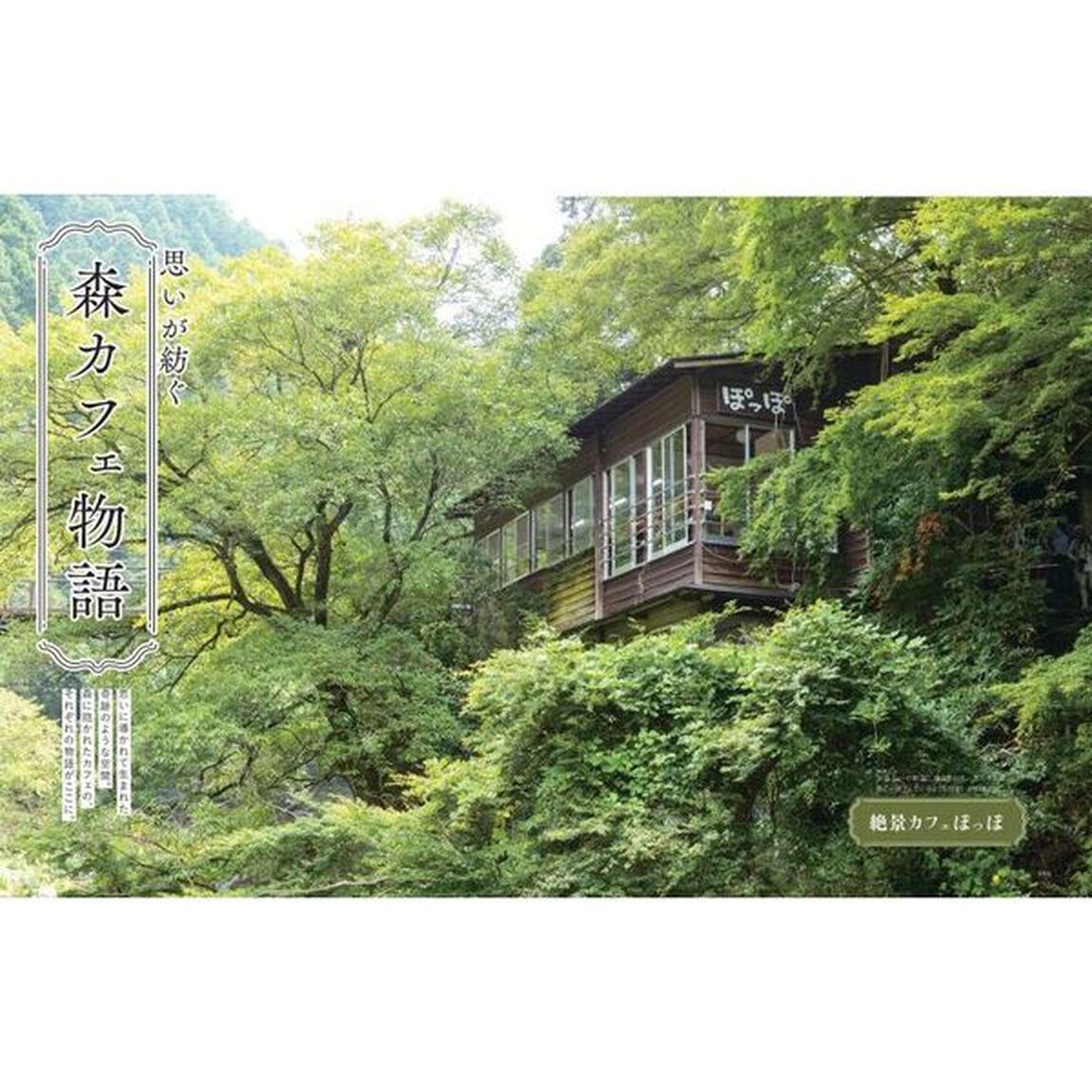 森のカフェと緑のレストラン 　東京・神奈川・千葉・埼玉セレクション
