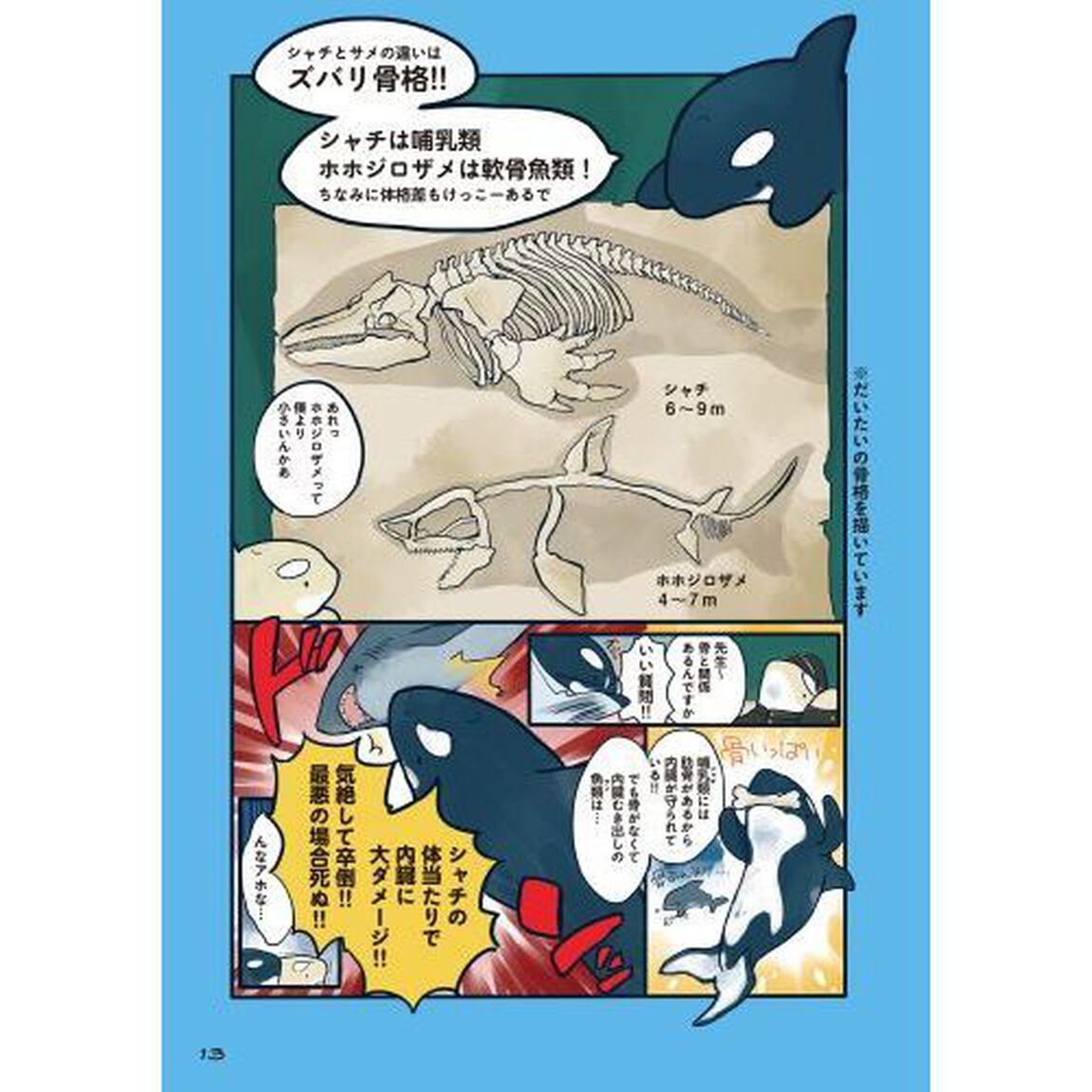 海のどうぶつが可愛すぎて! (メディアファクトリーのコミックエッセイ)