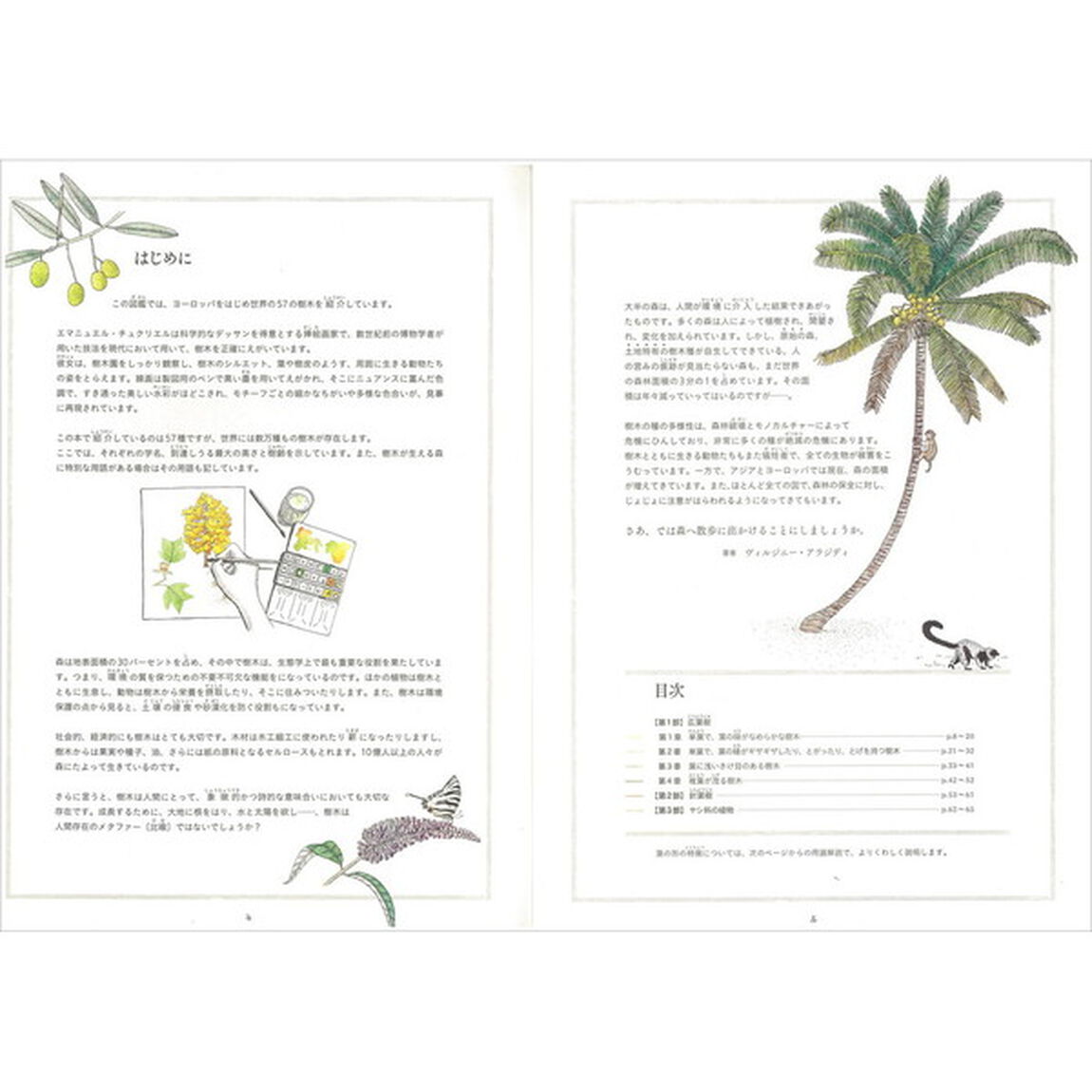 観察が楽しくなる美しいイラスト自然図鑑　樹木編
