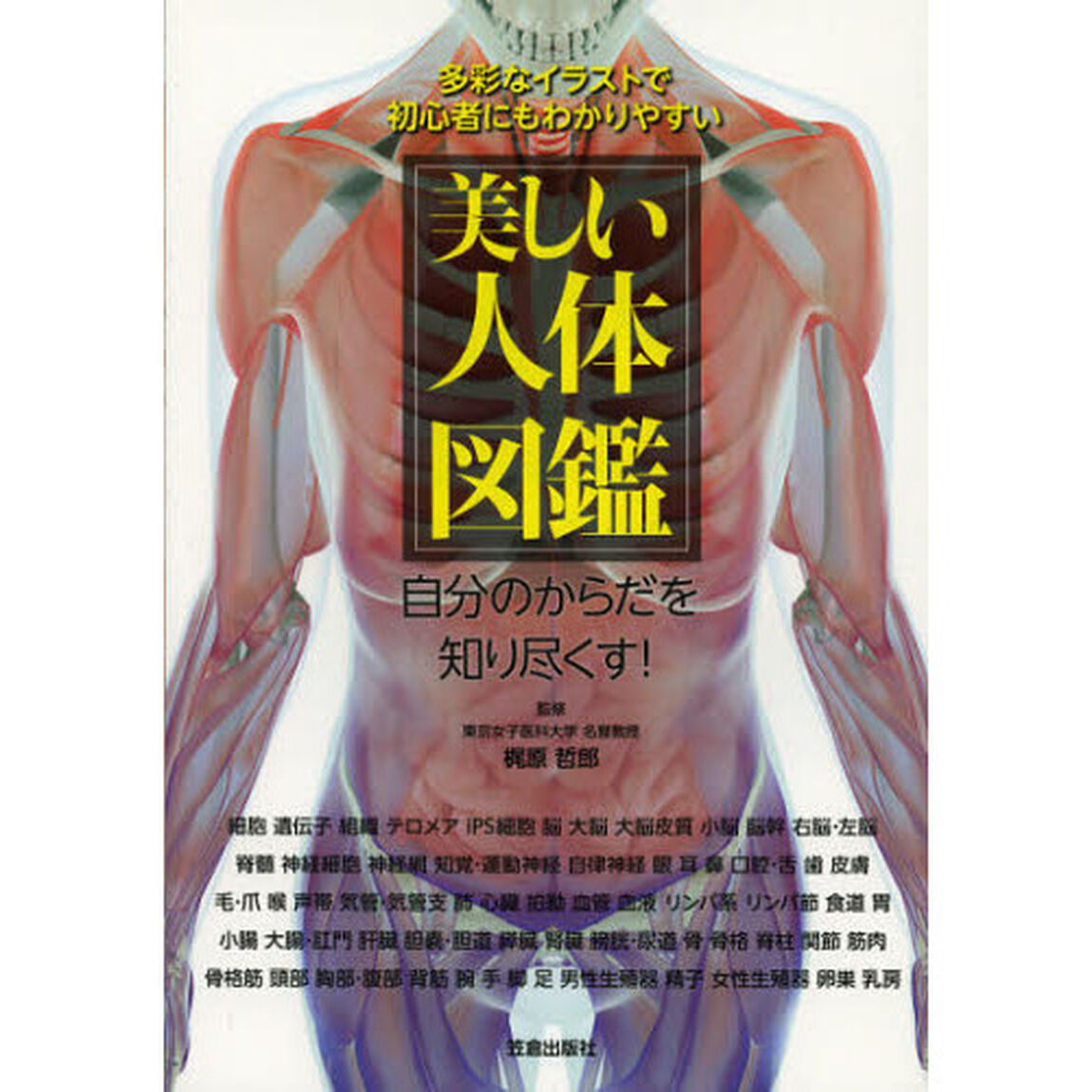 美しい人体図鑑　多彩なイラストで初心者にもわかりやすい　自分のからだを知り尽くす！