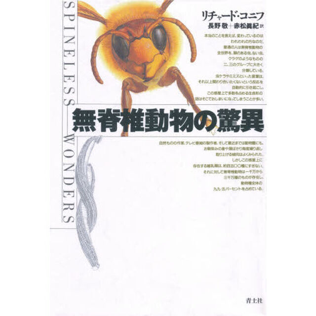 無脊椎動物の驚異
