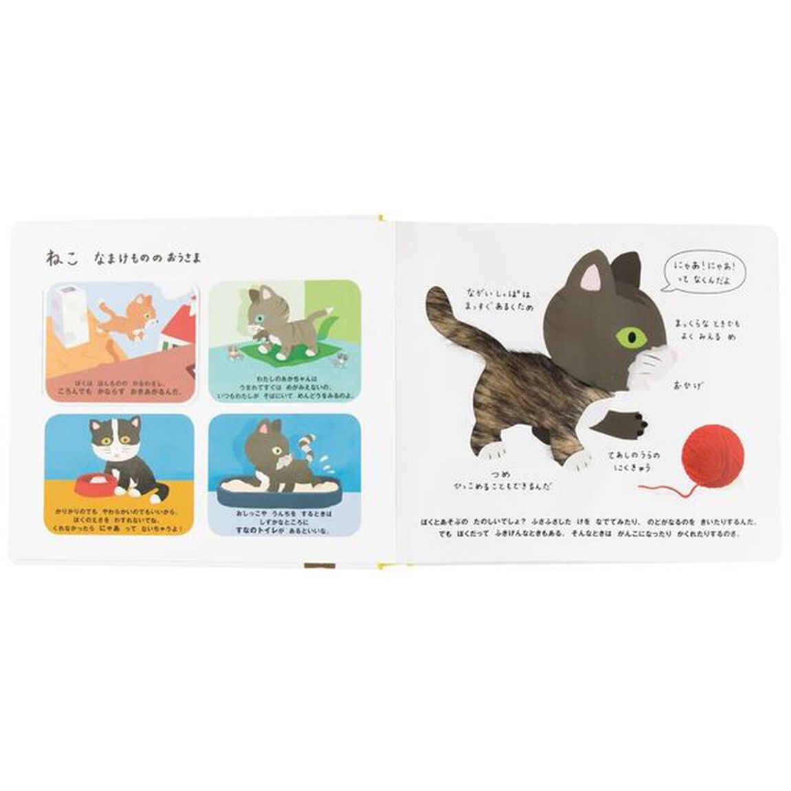 さわれるまなべるみぢかなどうぶつ　新装版