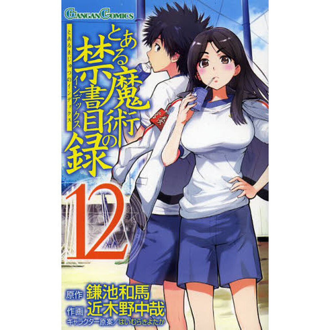 とある魔術の禁書目録（インデックス）　１２