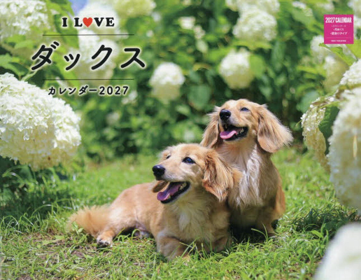 &rsquo;２７　Ｉ　ＬＯＶＥダックスカレンダー