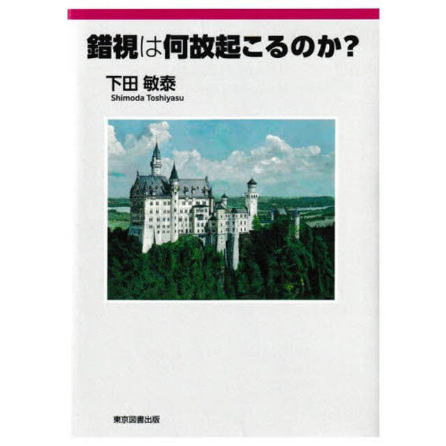 錯視は何故起こるのか？
