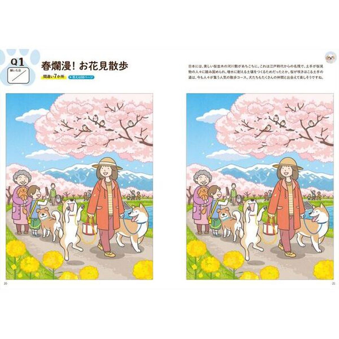 脳がみるみる若返る脳トレ犬ドリル　大好きなワンコのことだから脳に効く！