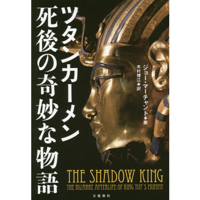 ツタンカーメン死後の奇妙な物語