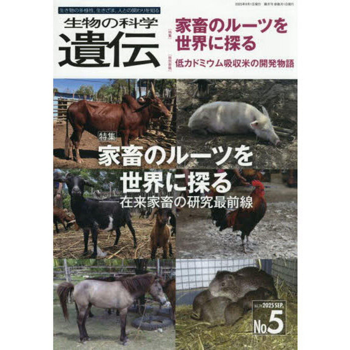 生物の科学遺伝　Ｖｏｌ．７９Ｎｏ．５（２０２５ＳＥＰ．）「家畜のルーツを世界に探る　在来家畜の研究最前線」
