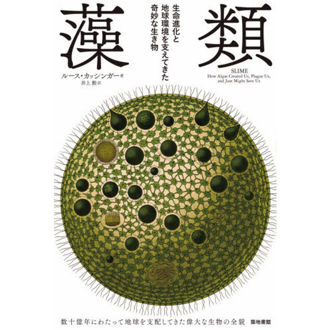 藻類　生命進化と地球環境を支えてきた奇妙な生き物