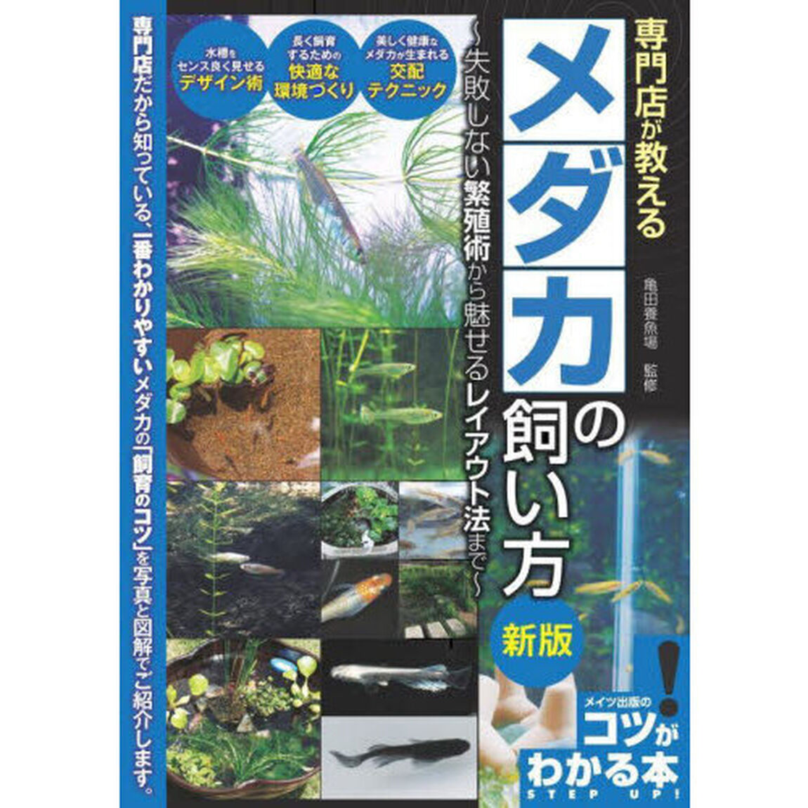 専門店が教えるメダカの飼い方　失敗しない繁殖術から魅せるレイアウト法まで「新版」