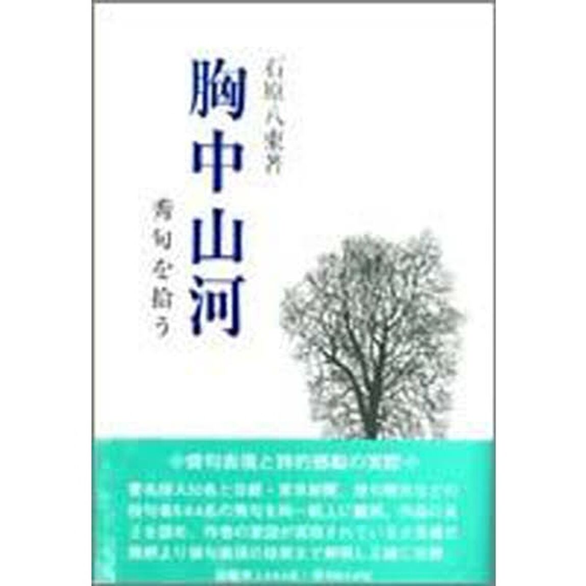 胸中山河　秀句を拾う