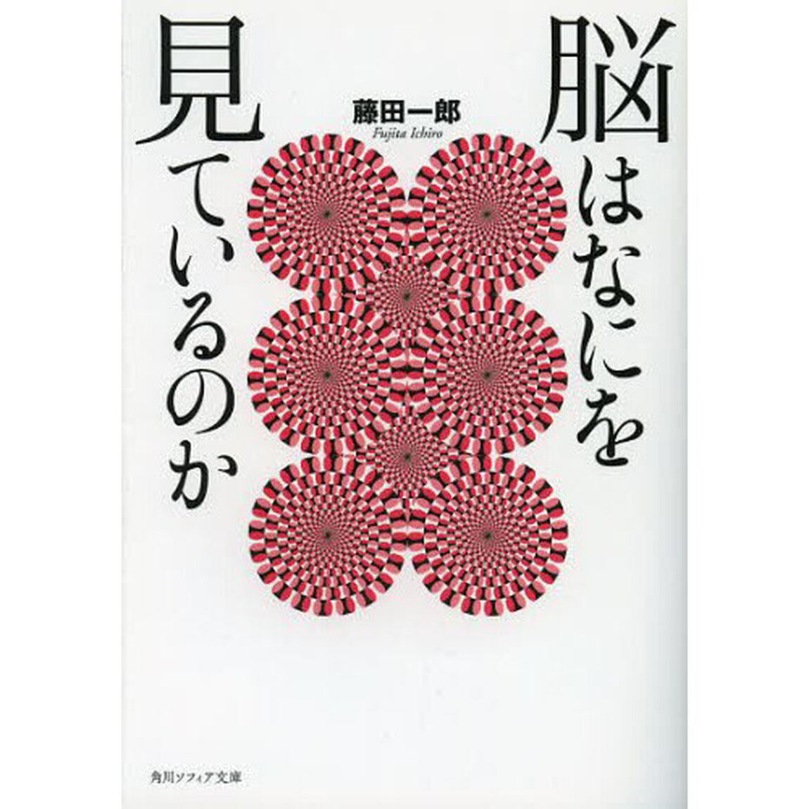 脳はなにを見ているのか