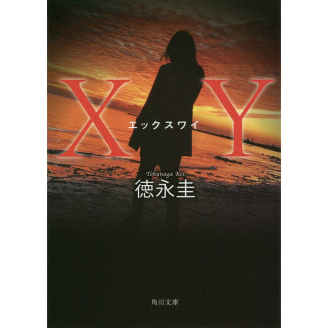 ＸＹ