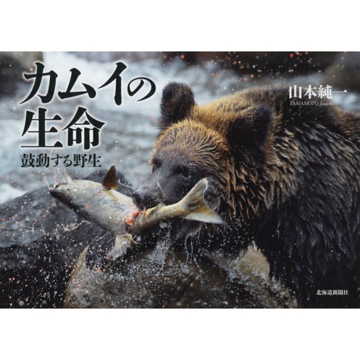 カムイの生命（いのち）　鼓動する野生