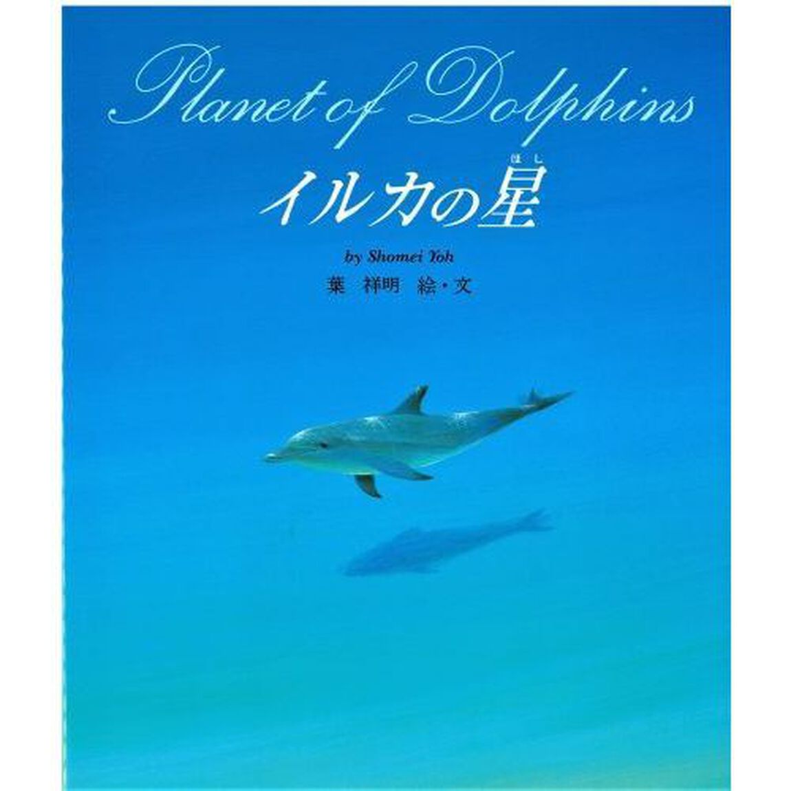 イルカの星