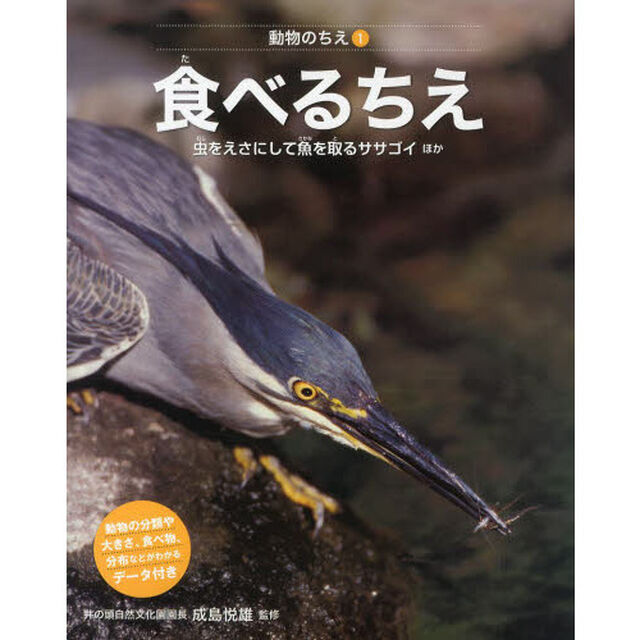動物のちえ　１「食べるちえ　虫をえさにして魚を取るササゴイほか」