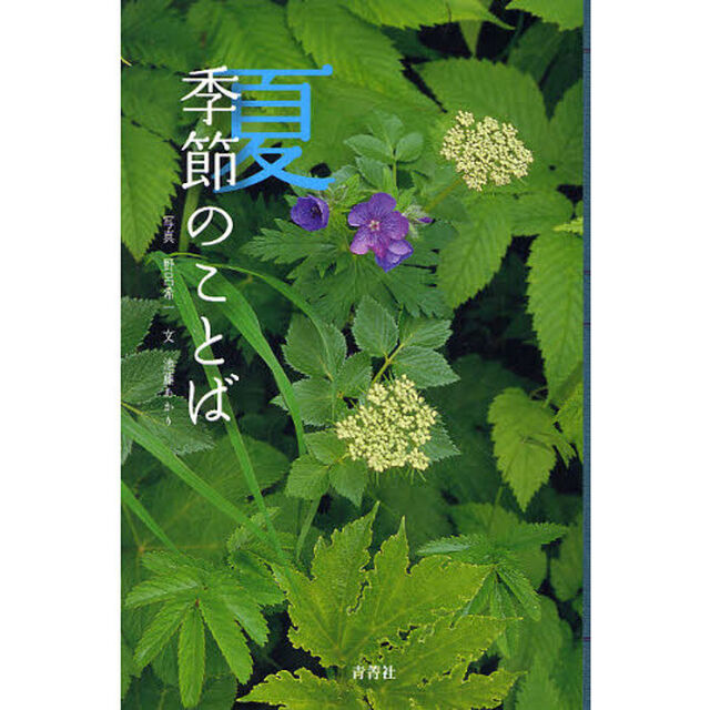 夏　季節のことば