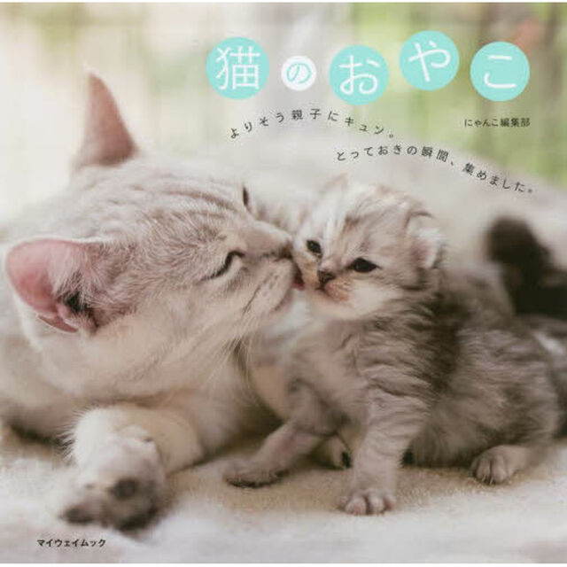 猫のおやこ