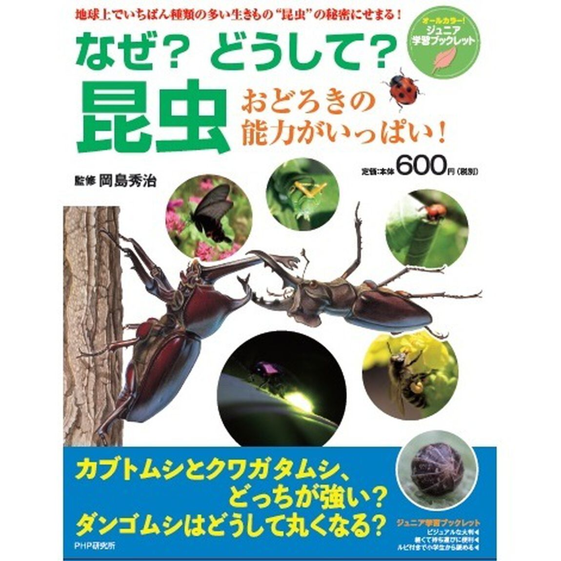 なぜ？どうして？昆虫（セブン＆アイ限定特典付き）