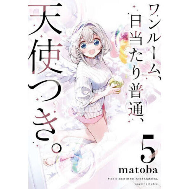 ワンルーム、日当たり普通、天使つき。　５