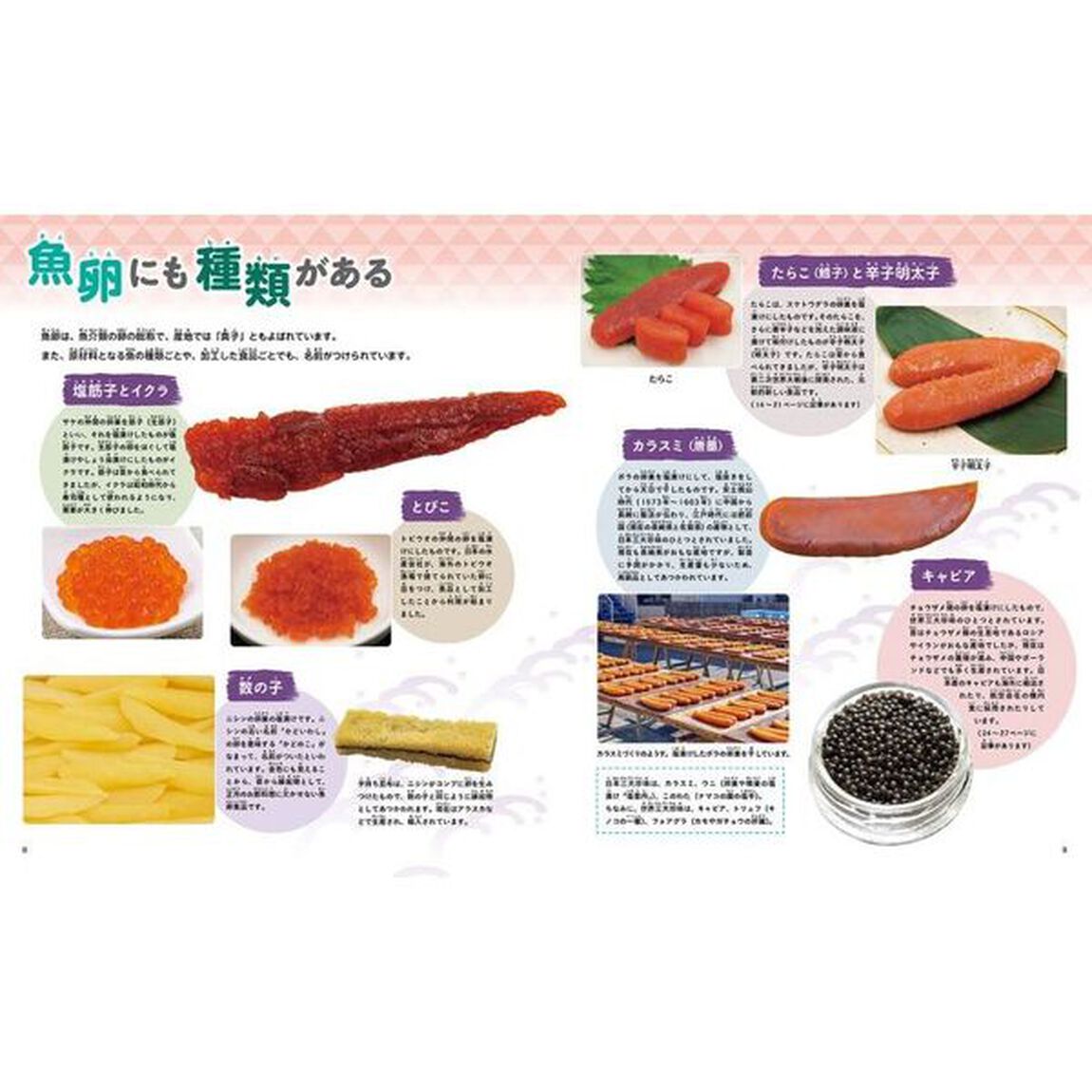 海からいただく日本のおかず　３「魚卵　魚介類の塩蔵品」