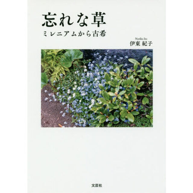 忘れな草　ミレニアムから古希